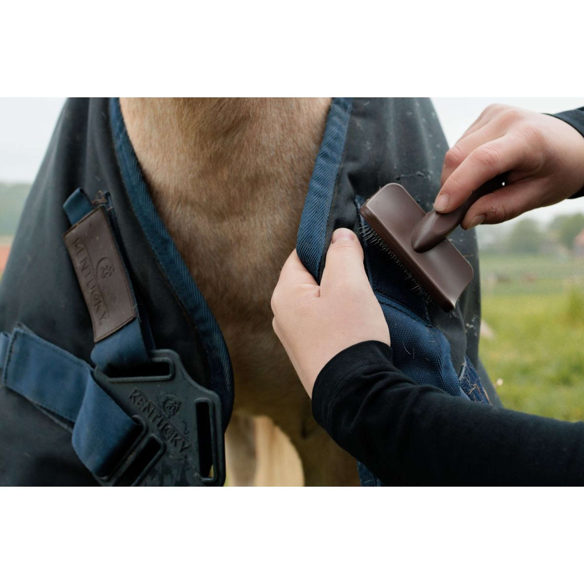 Grooming Deluxe by Kentucky Velcro Cleaning Brush Marron
