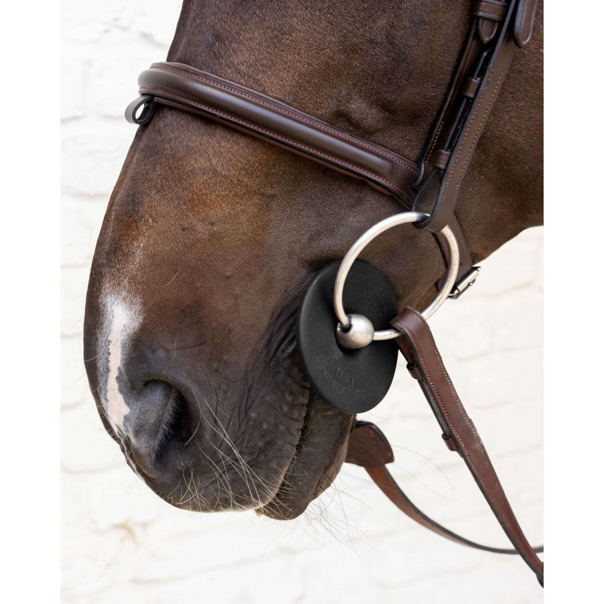 Kentucky Anillos de Embocadura Bit Ring Negro