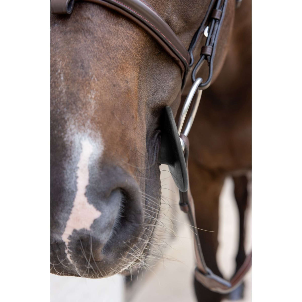 Kentucky Anillos de Embocadura Bit Ring Negro