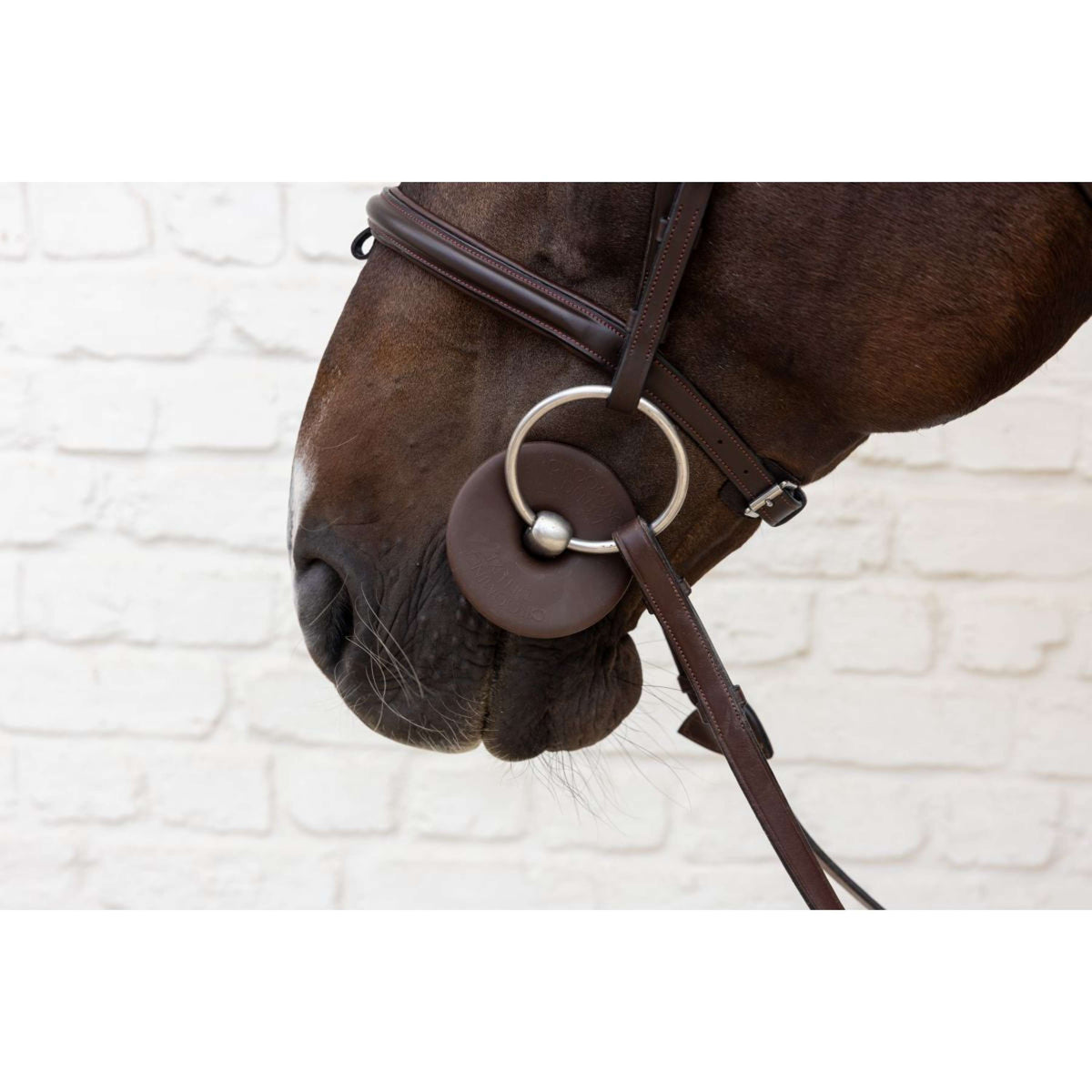 Kentucky Anillos de Embocadura Bit Ring Marron