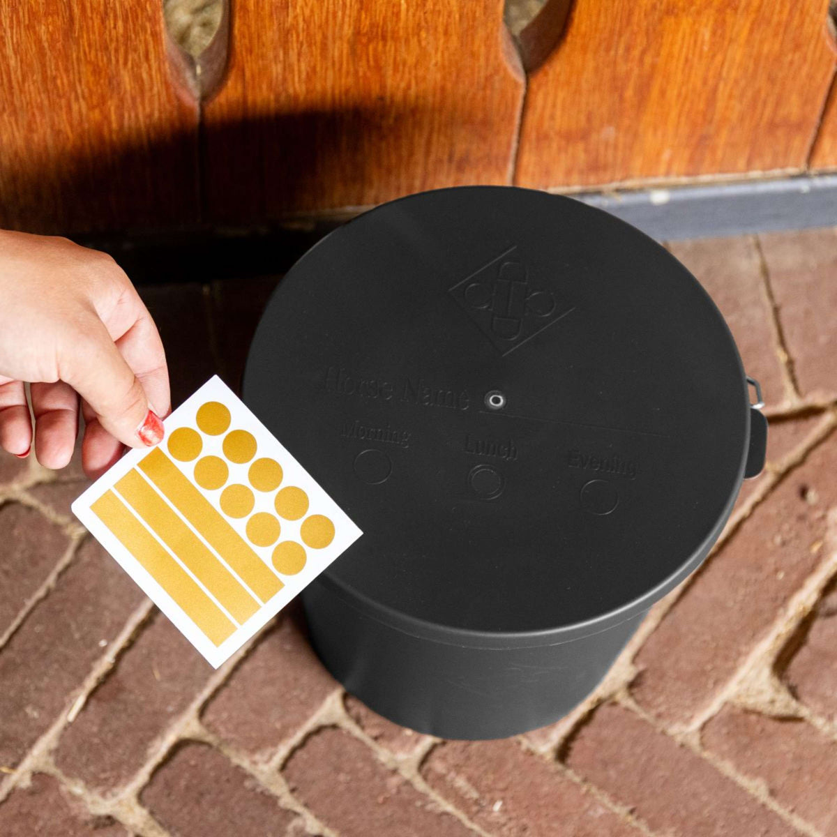 Kentucky Cubo con Tapa Negro