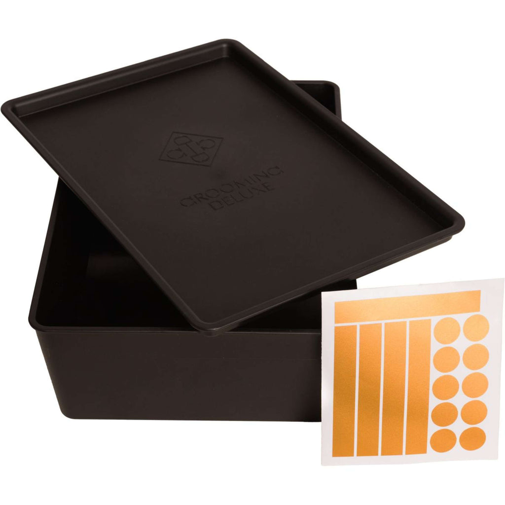 Kentucky Plato de comida con Tapa Negro