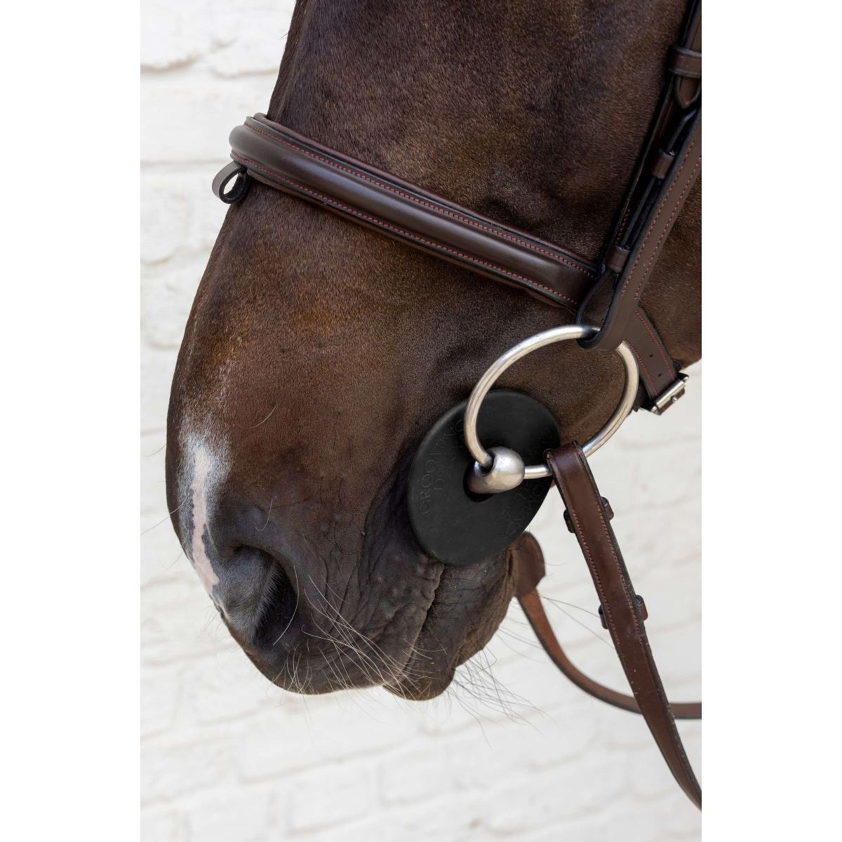 Kentucky Anillos de Embocadura Bit Guard Negro