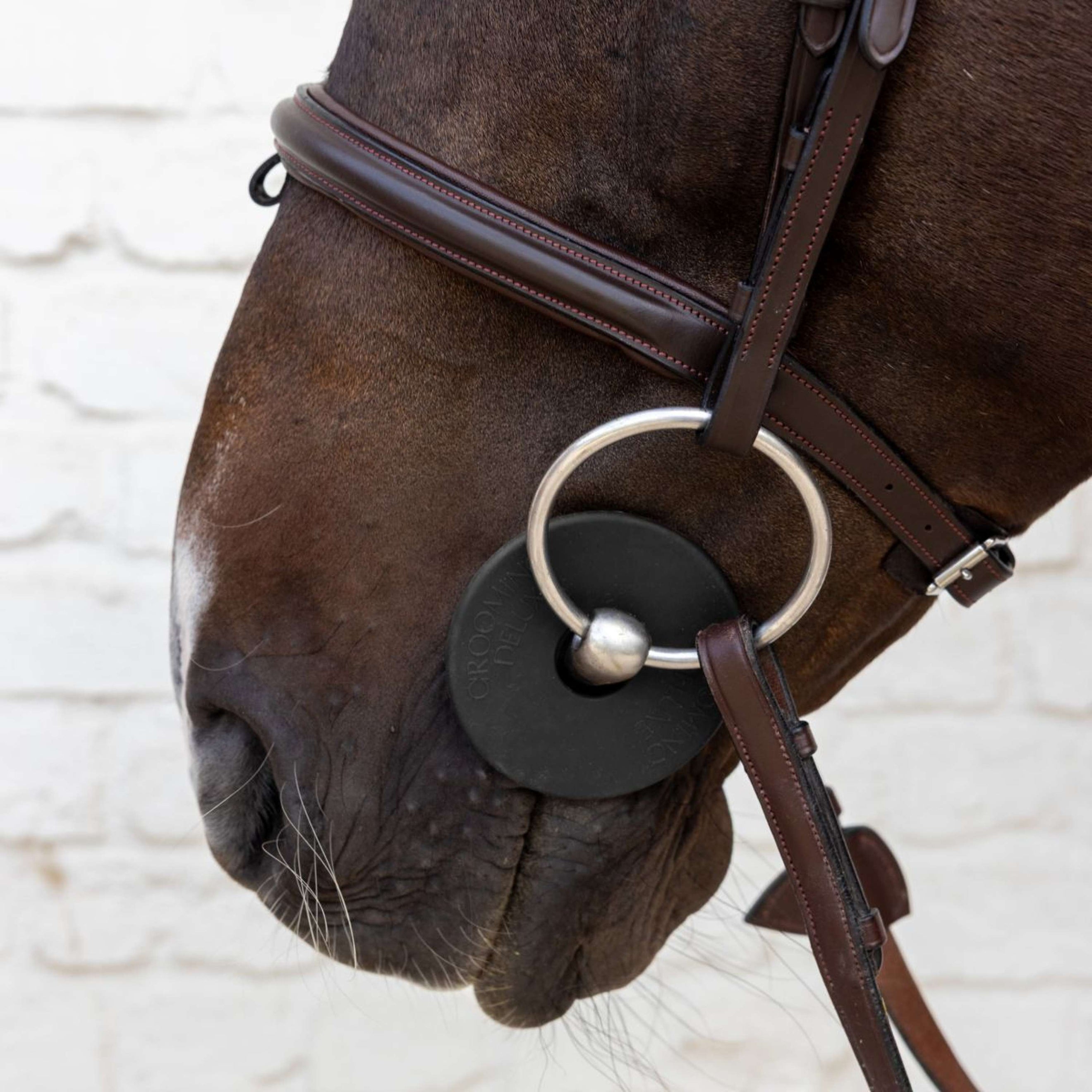 Kentucky Anillos de Embocadura Bit Guard Negro Kentucky Anillos de Embocadura Bit Guard Negro