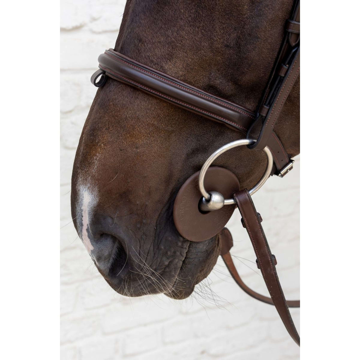 Kentucky Anillos de Embocadura Bit Guard Marron