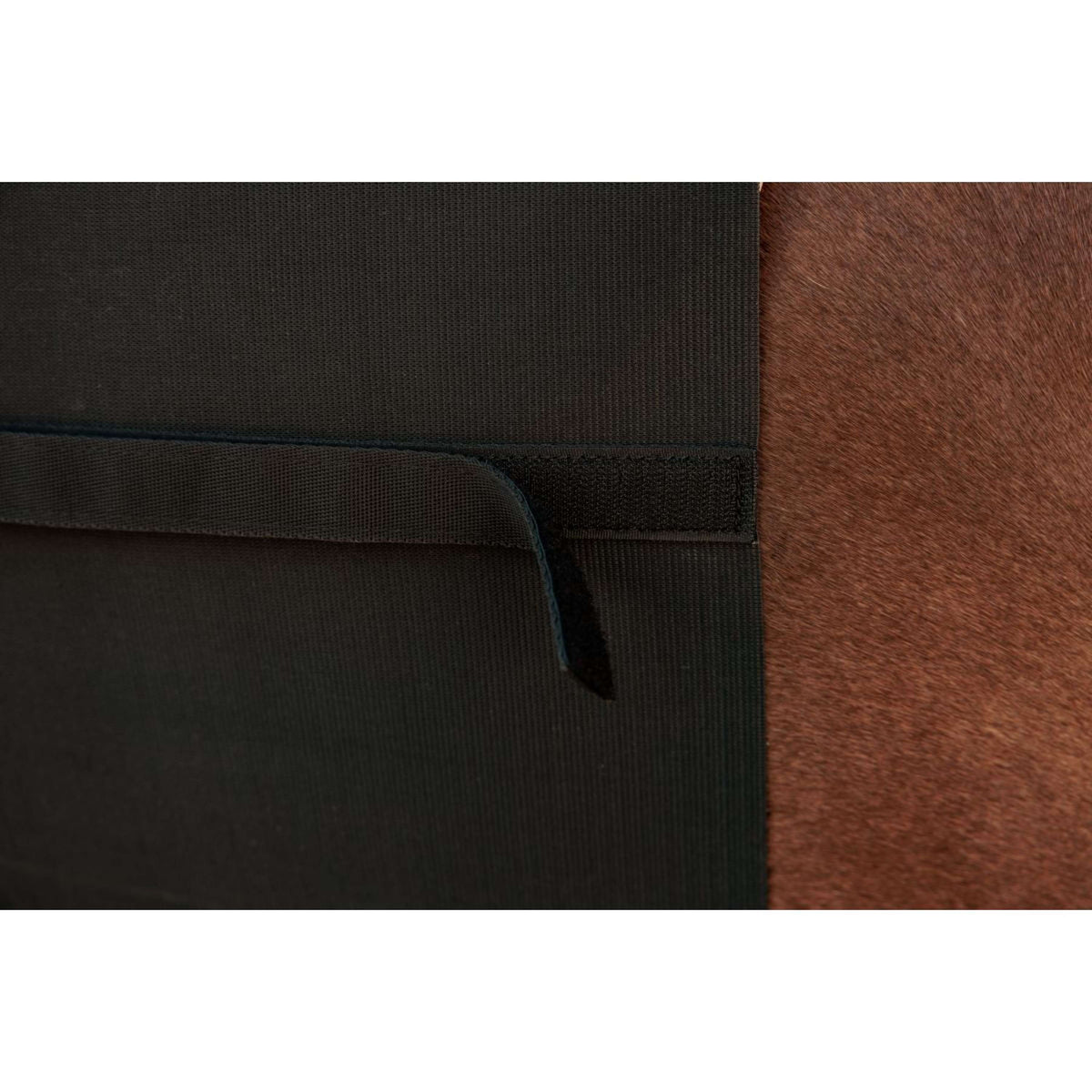 Kentucky Funda para Cincha Negro