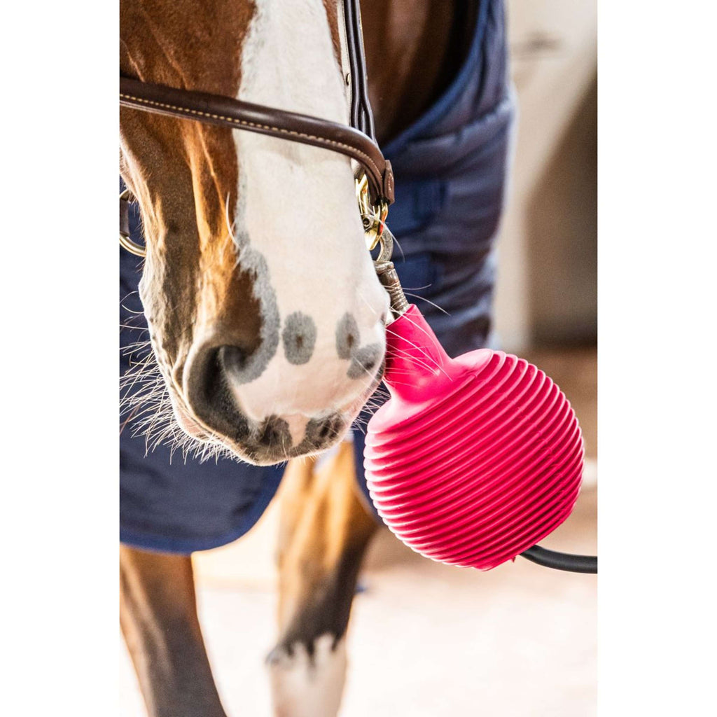 Kentucky Bola de protección Pro Rubber Rosa