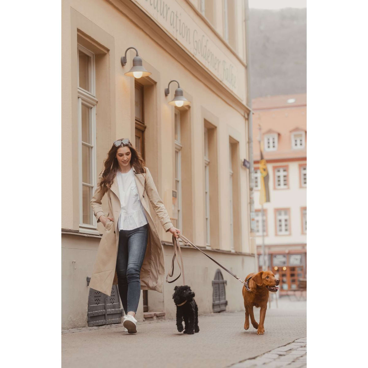 Kentucky Horsewear Collar Beige
