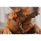 Kentucky Horsewear Halsband Perro Trenzado Nylon Naranja