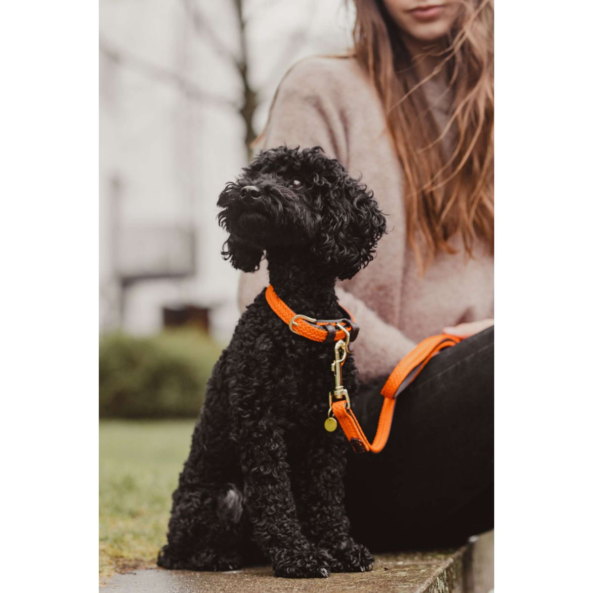 Kentucky Horsewear Halsband Perro Trenzado Nylon Naranja