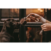Kentucky Dogwear Juguete para Perro
