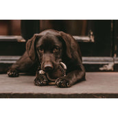 Kentucky Dogwear Juguete para Perro