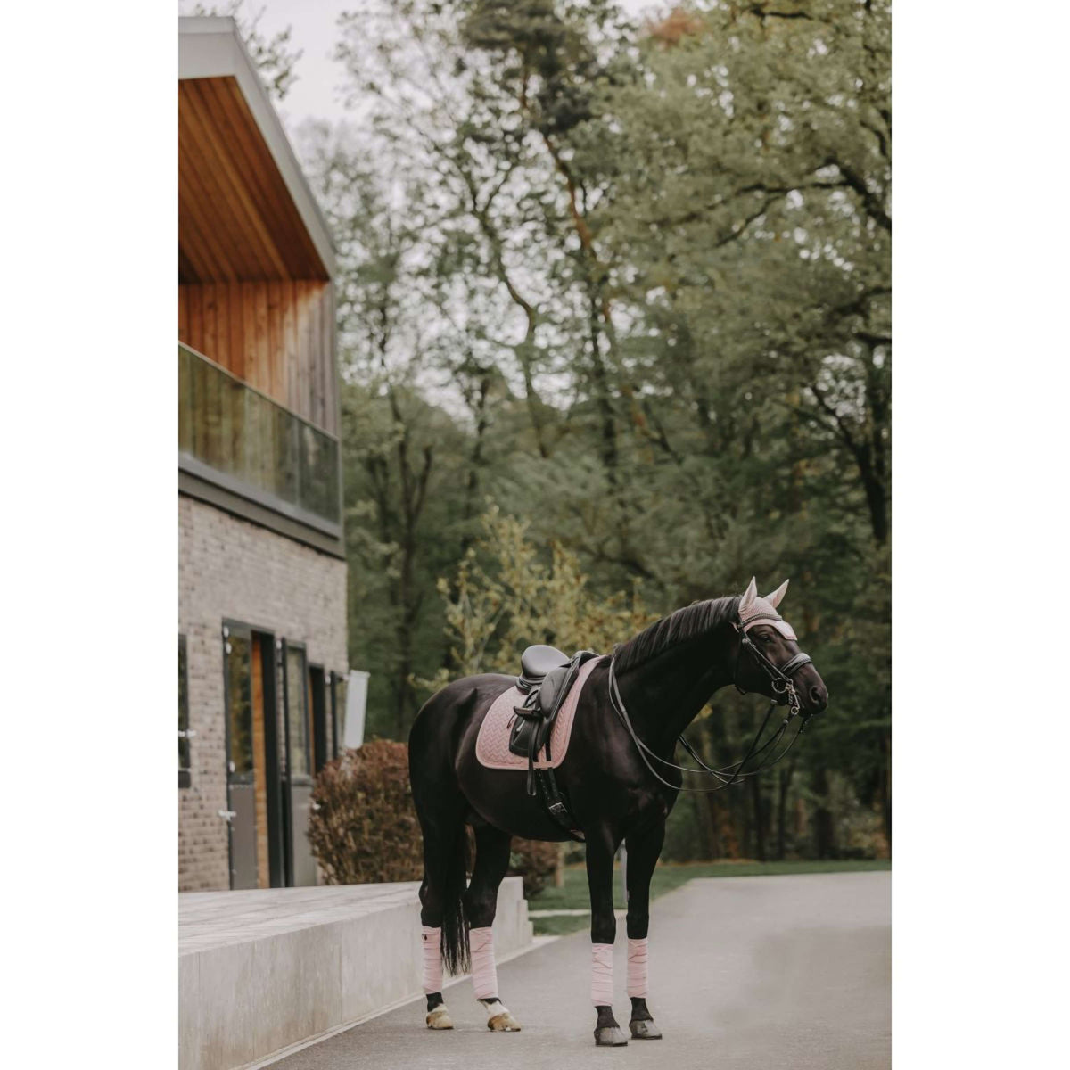 Kentucky Horsewear Mantilla Velvet Pearls Doma clásica Soft Rose