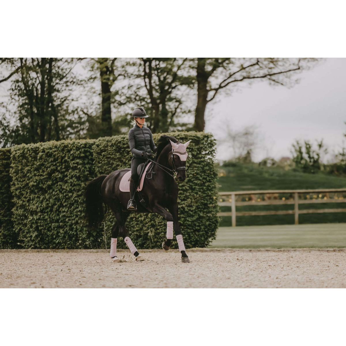 Kentucky Horsewear Mantilla Velvet Pearls Doma clásica Soft Rose