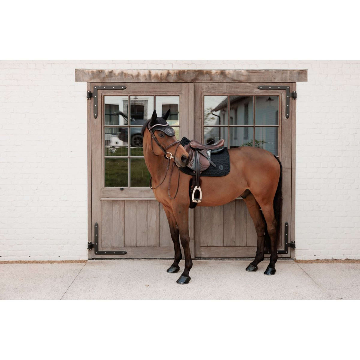 Kentucky Mantilla Sparkling saltando Negro