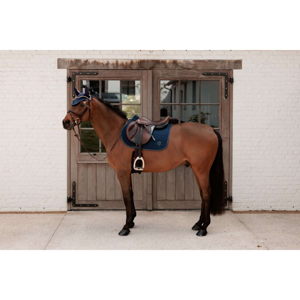 Kentucky Bonete para Orejas Wellington Sparkling Logo Navy