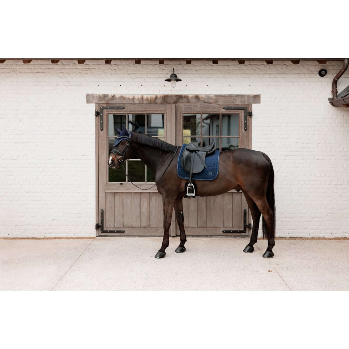 Kentucky Bonete para Orejas Wellington Sparkling Logo Navy