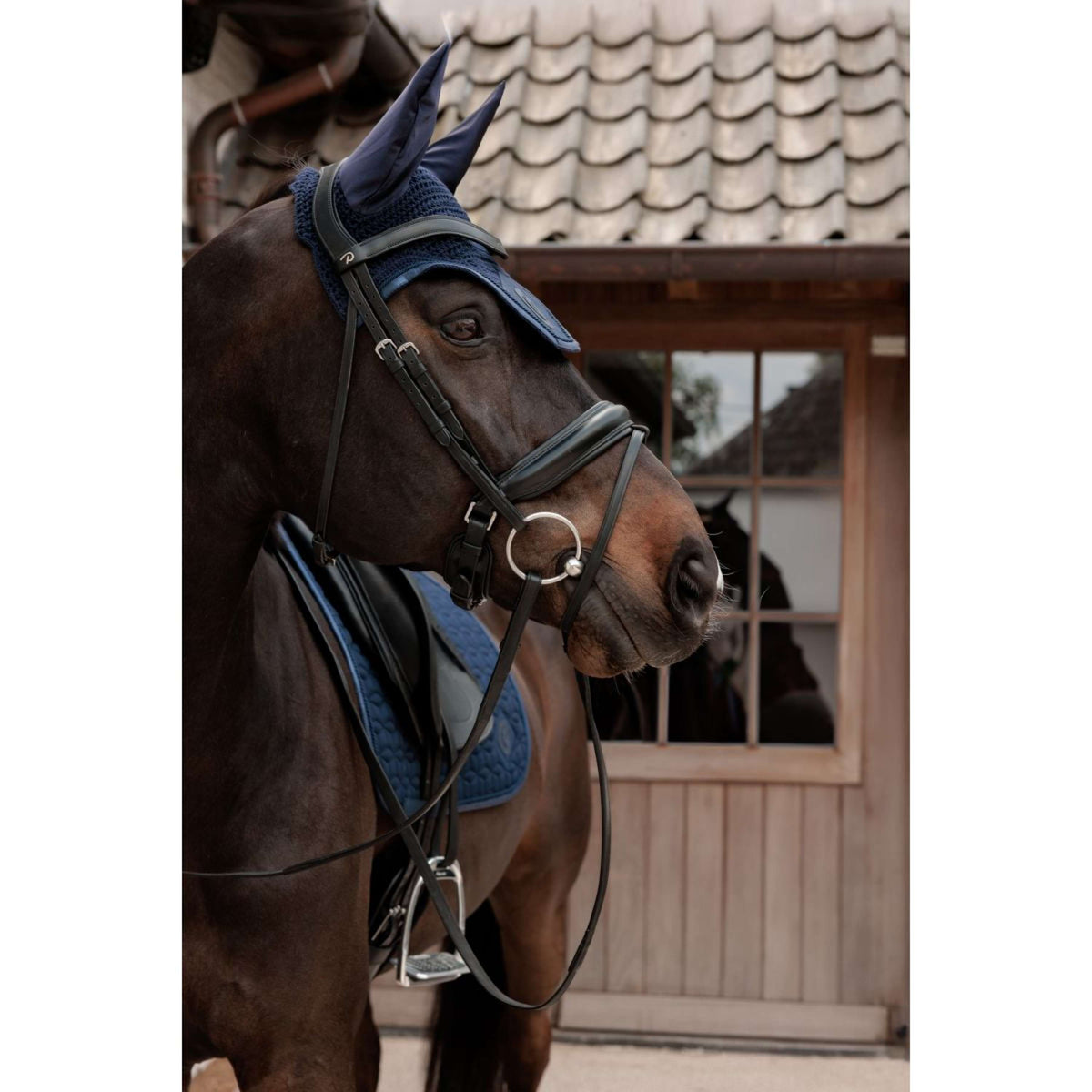 Kentucky Mantilla Sparkling Doma clásica Navy
