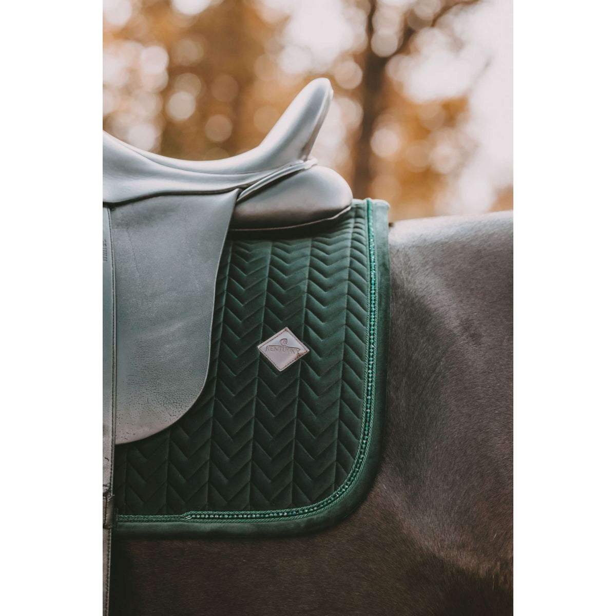 Kentucky Horsewear Mantilla Velvet Pearls Doma clásica Pine Green