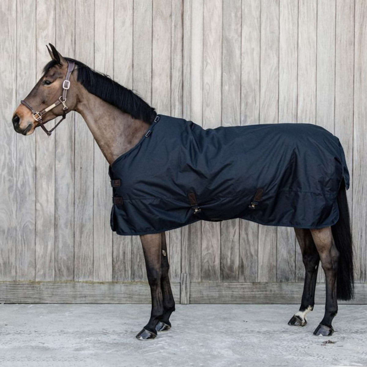 Kentucky Horsewear Turnout All Weather Impermeable Navy