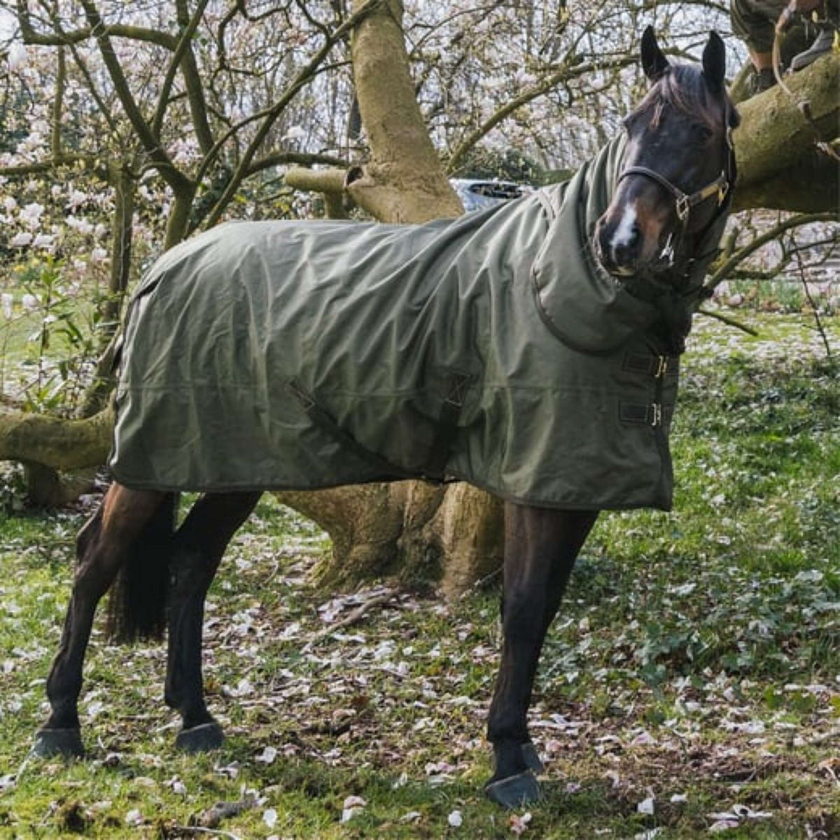 Kentucky Horsewear Turnout All Weather 160g Kaki
