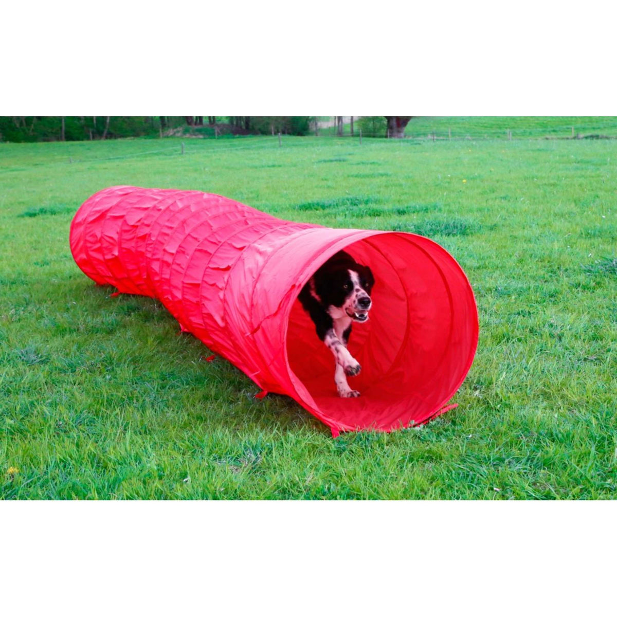 Kerbl Túnel de Agilidad para Perros Rojo