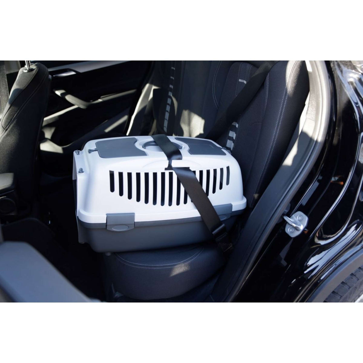 Kerbl Transportbox Gulliver Gris/Blanco