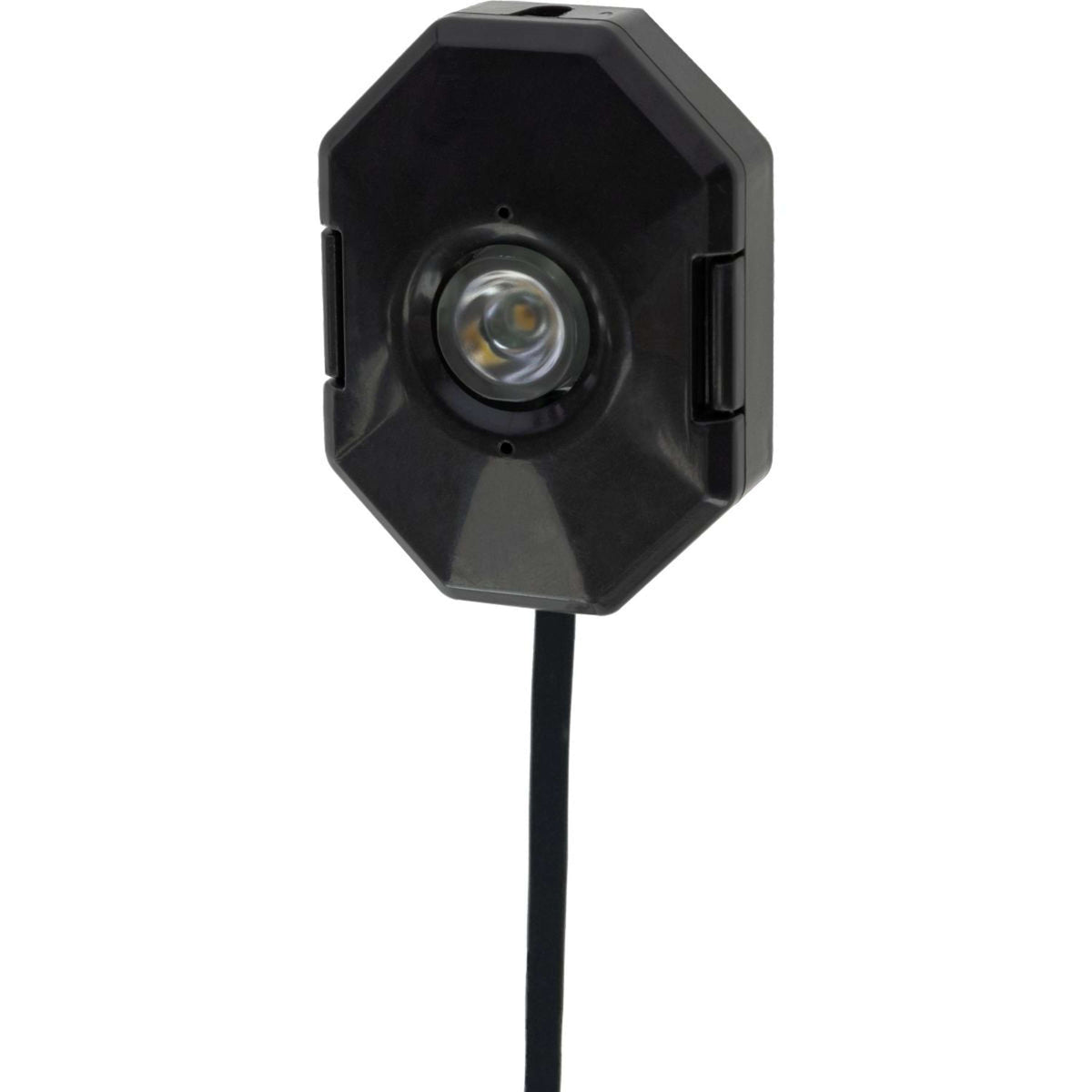 Smart Coop Iluminación LED para granero