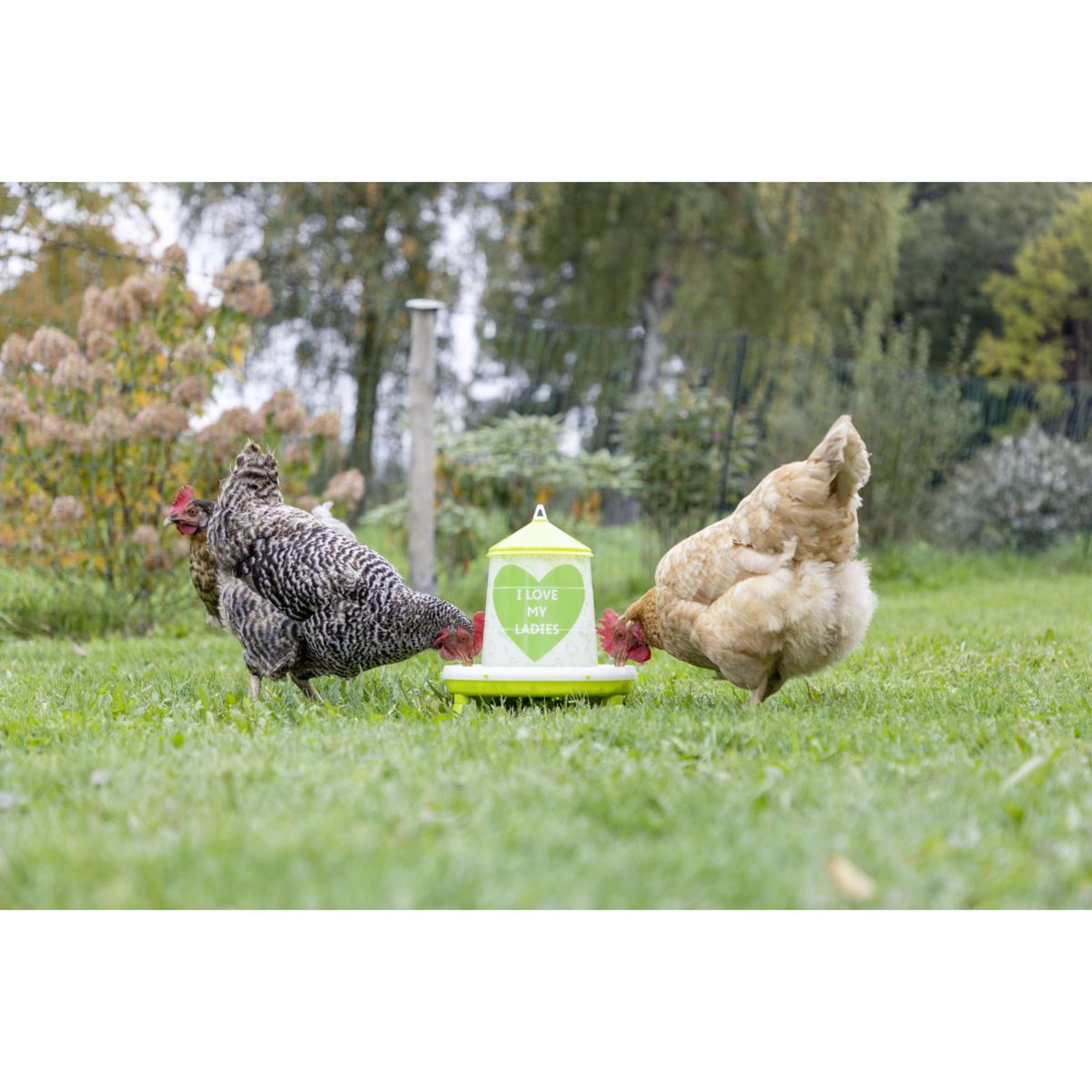Kerbl Torre de Alimentación para Aves Love My Ladies