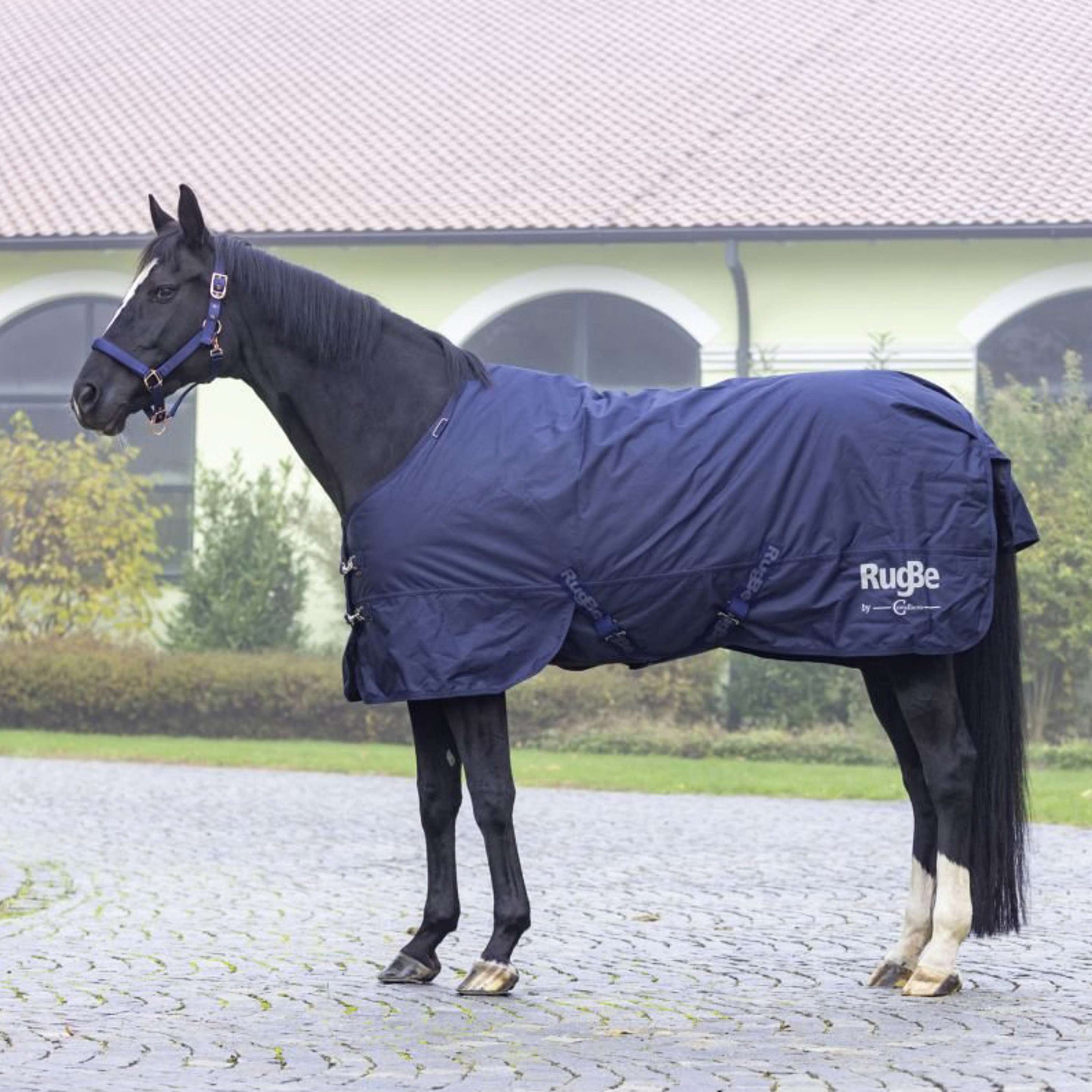 RugBe by Covalliero Manta de Invierno IceProtect 200g Dark Navy