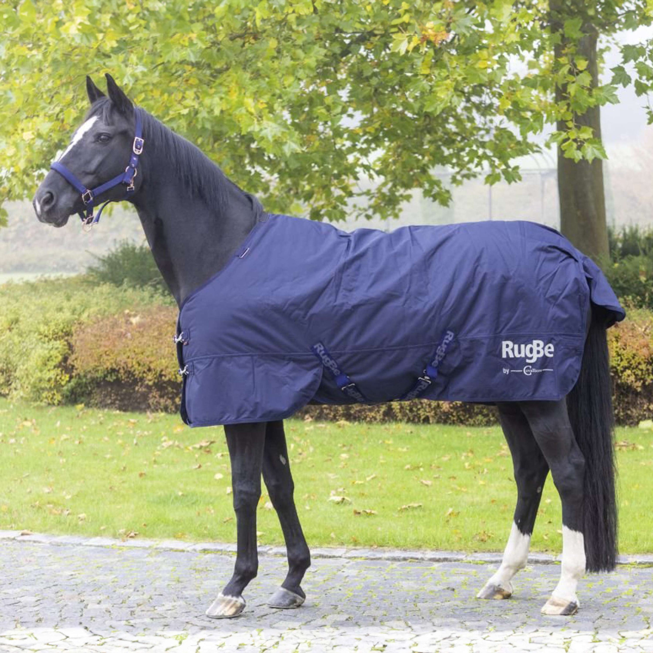 RugBe by Covalliero Manta de Invierno IceProtect 300g Dark Navy