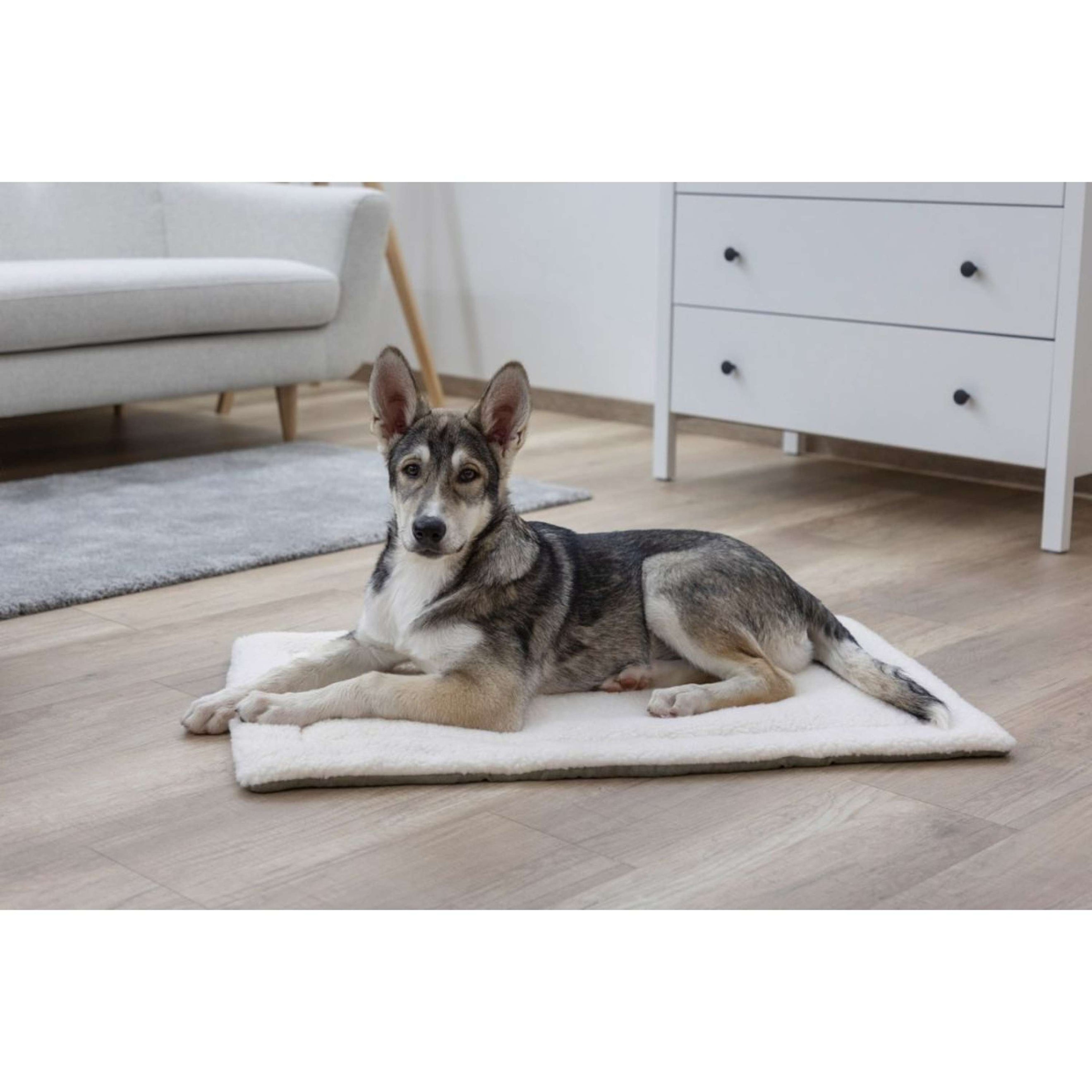 Kerbl Cojín Cleo Gris