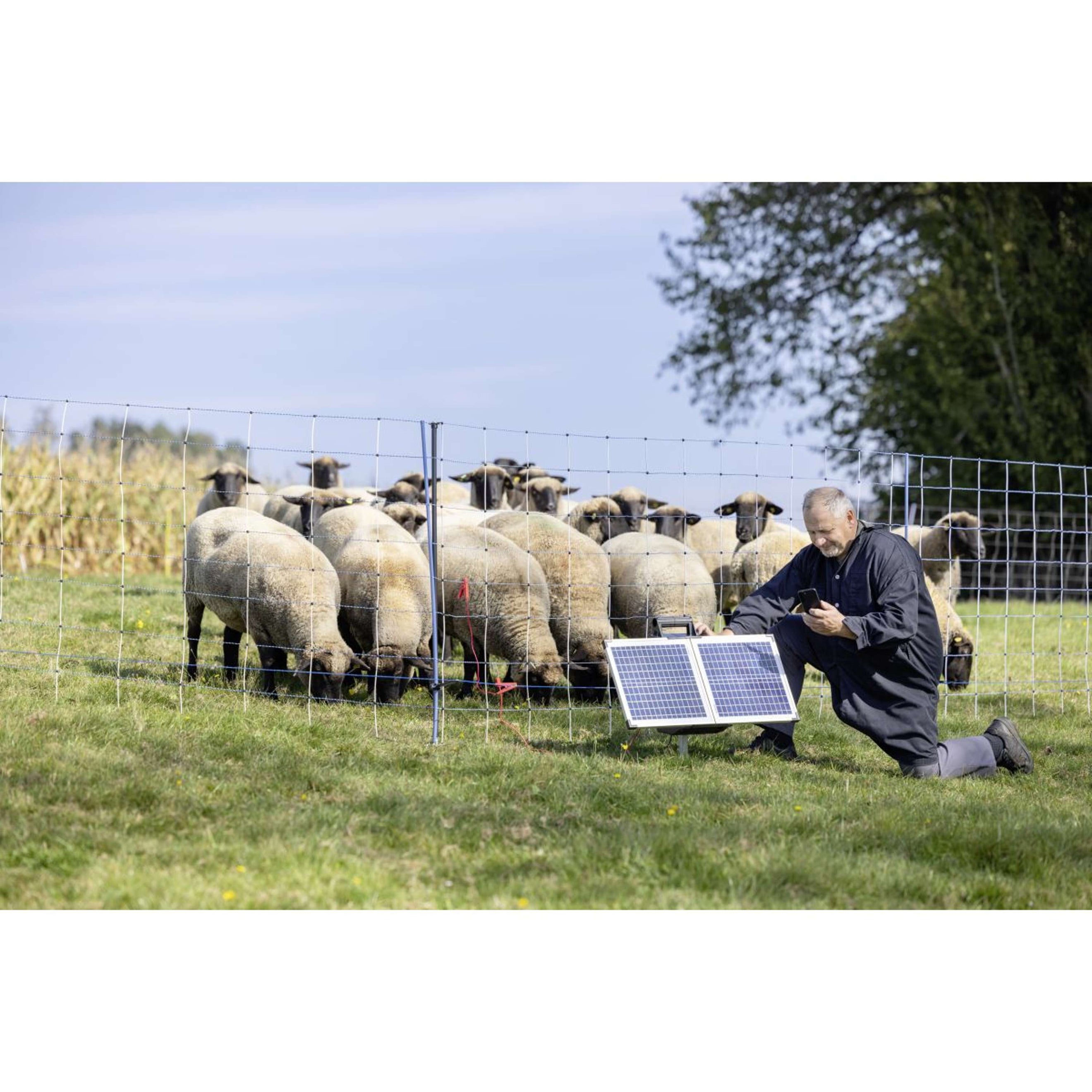 Ako Dispositivo de cerca eléctrica SunPower S2400 Smart 12V