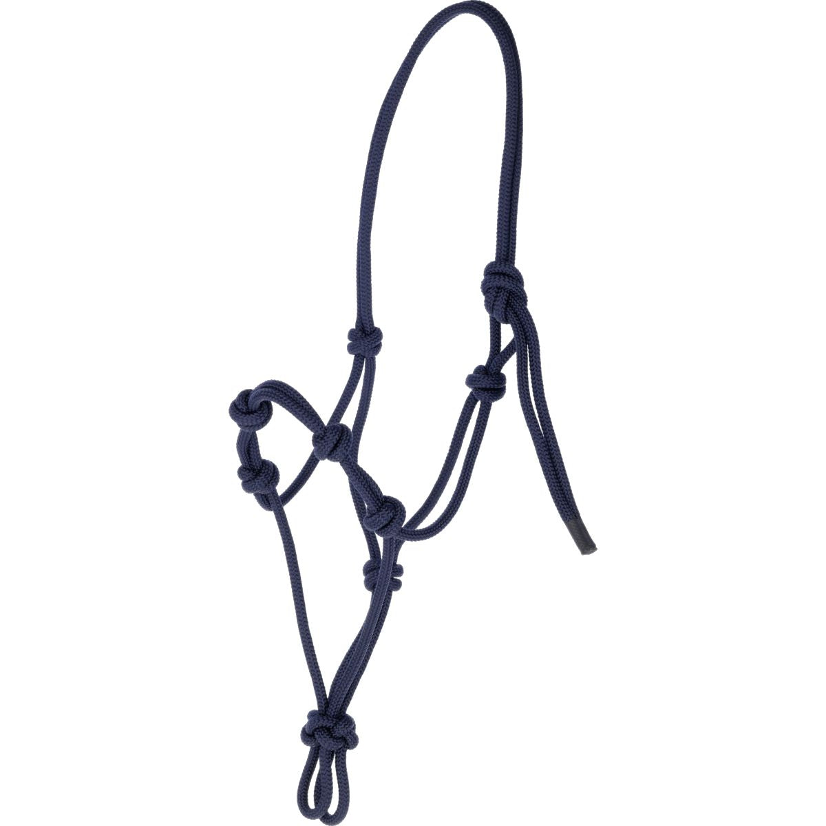 Covalliero Capestro in Corda Azul