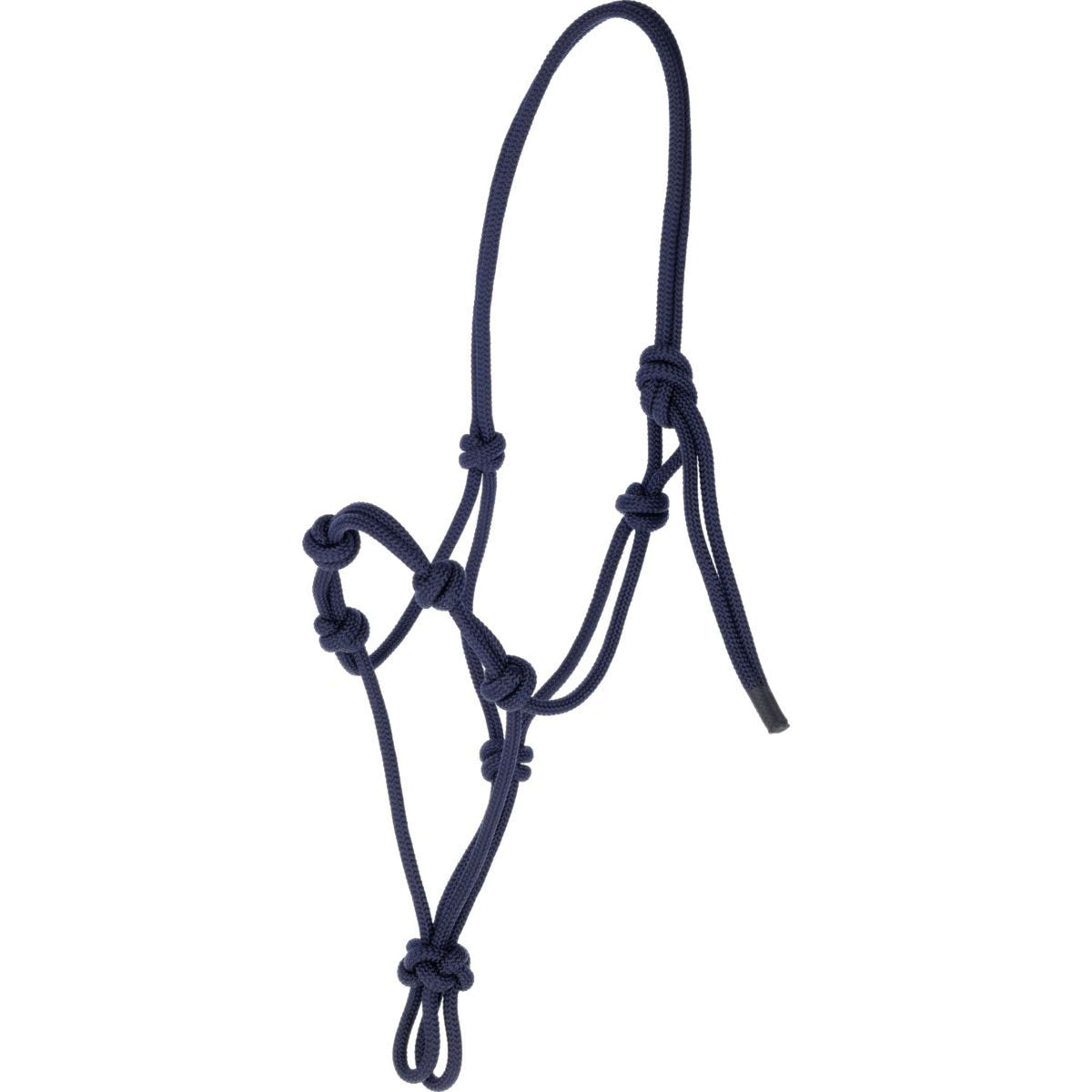 Covalliero Capestro in Corda Azul