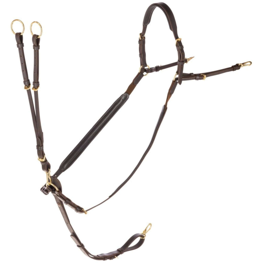 Covalliero Pettorina con martingala Marron