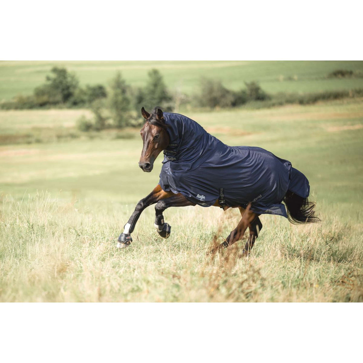 Covalliero Manta Antimoscas RugBe SuperFly Navy