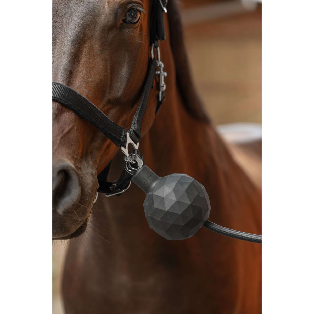 Covalliero Palla di protezione Gomma Gris