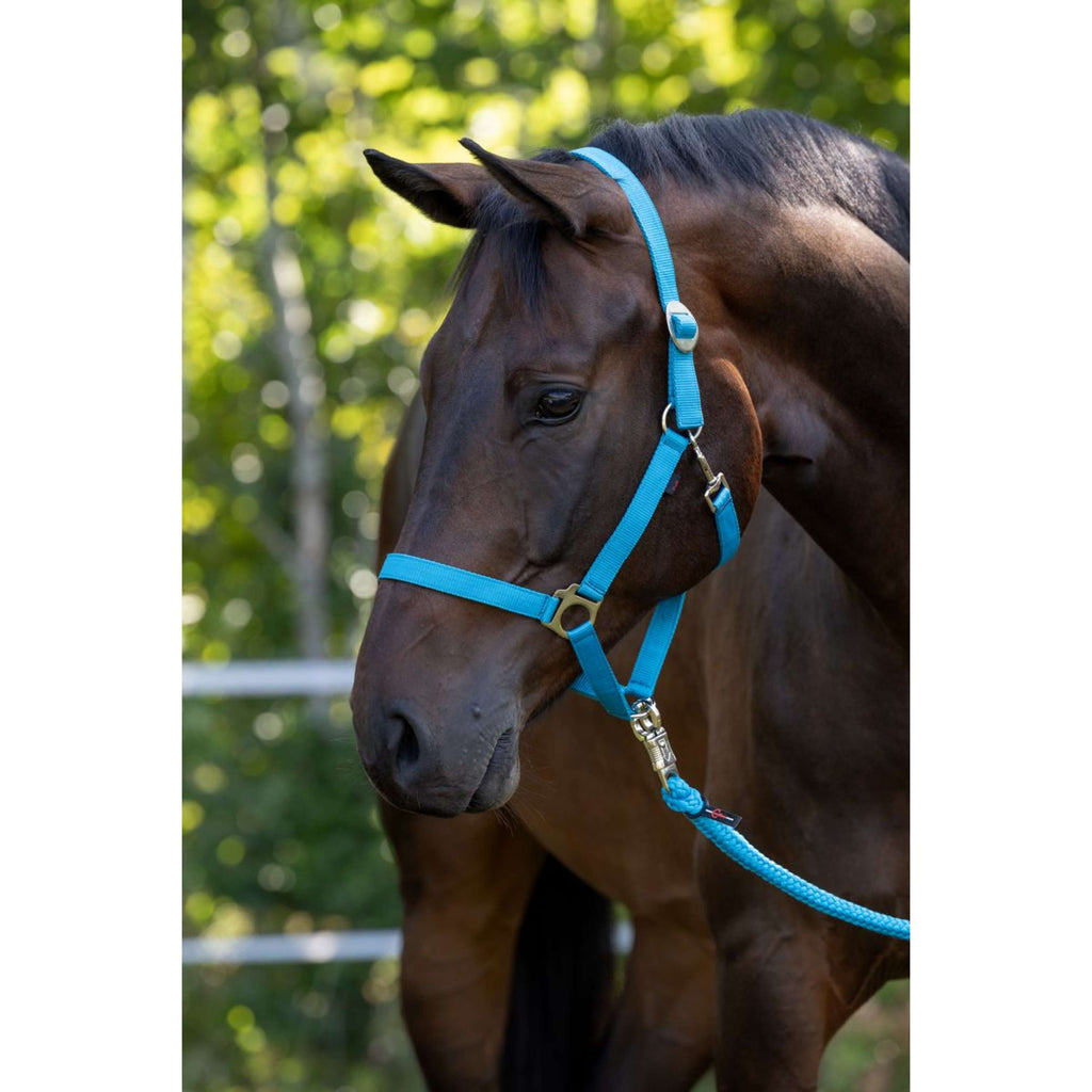Covalliero Cabestro Hippo Azul