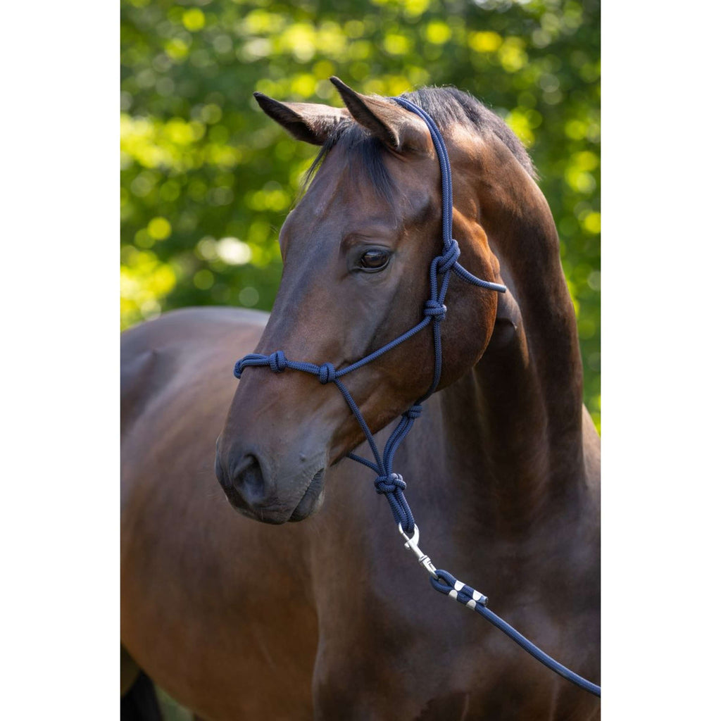 Covalliero Cabestro de Cuerda Azul