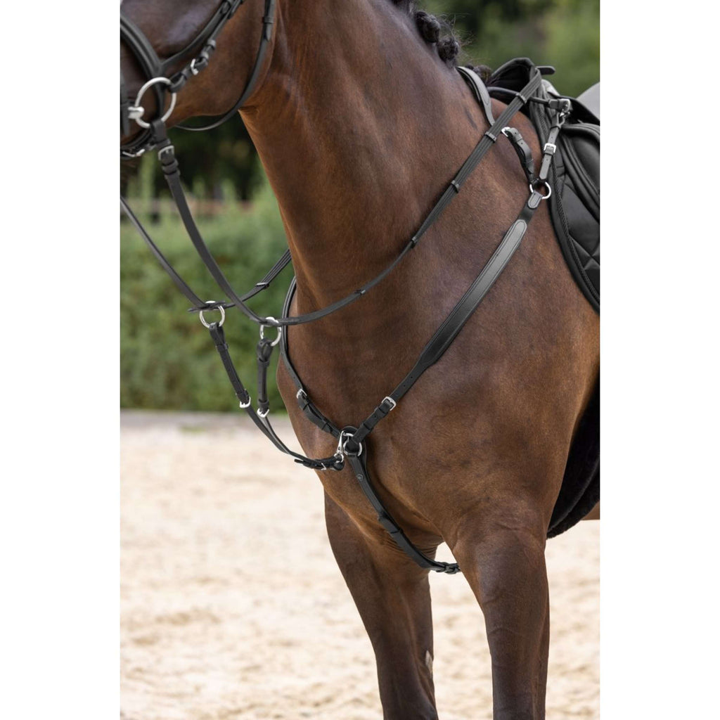 Covalliero Pettorina con martingala Negro