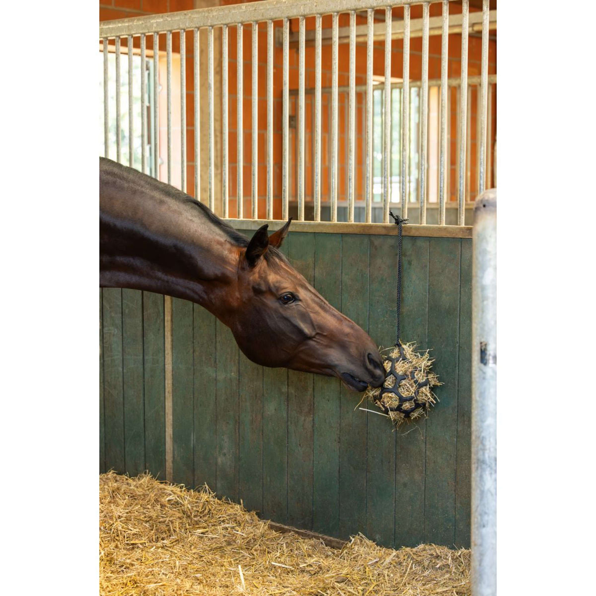 Covalliero Bola de Heno Flex Klein Negro