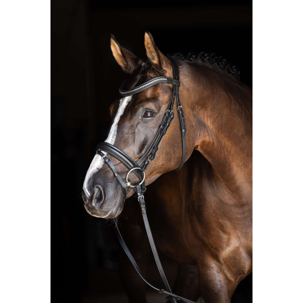 Covalliero Briglia Clincher Negro