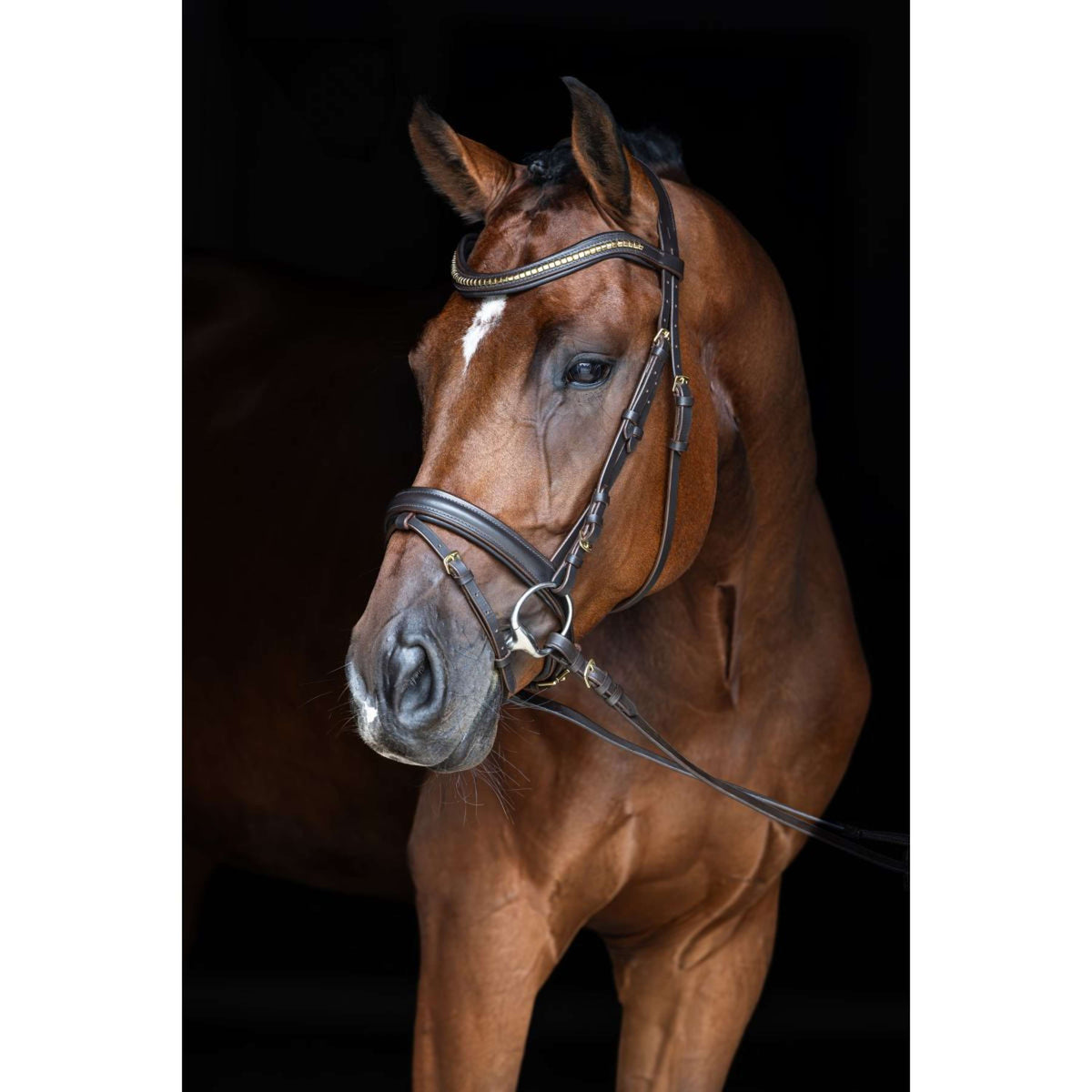 Covalliero Briglia Clincher Marron