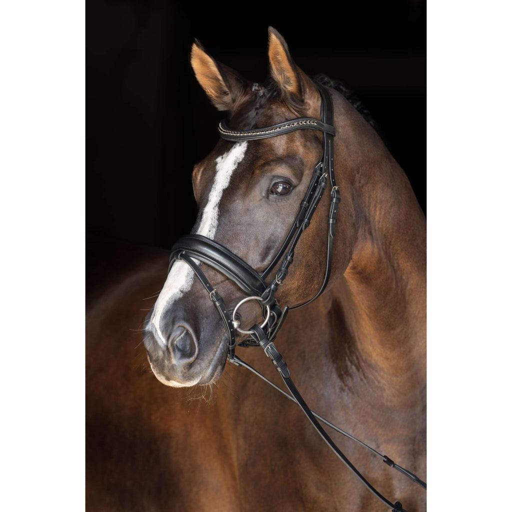 Covalliero Briglia Zweeds Negro