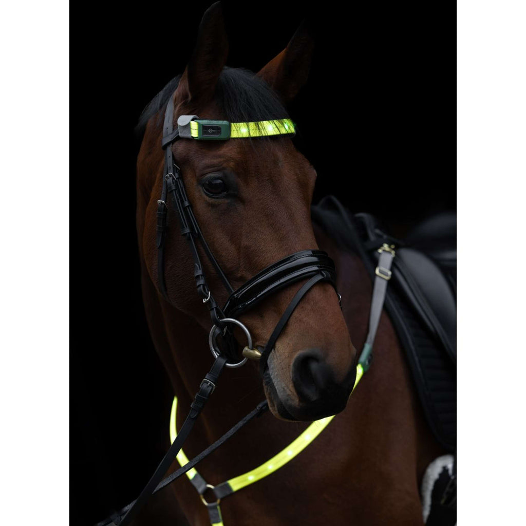 Covalliero Frontalino Led Reflejo