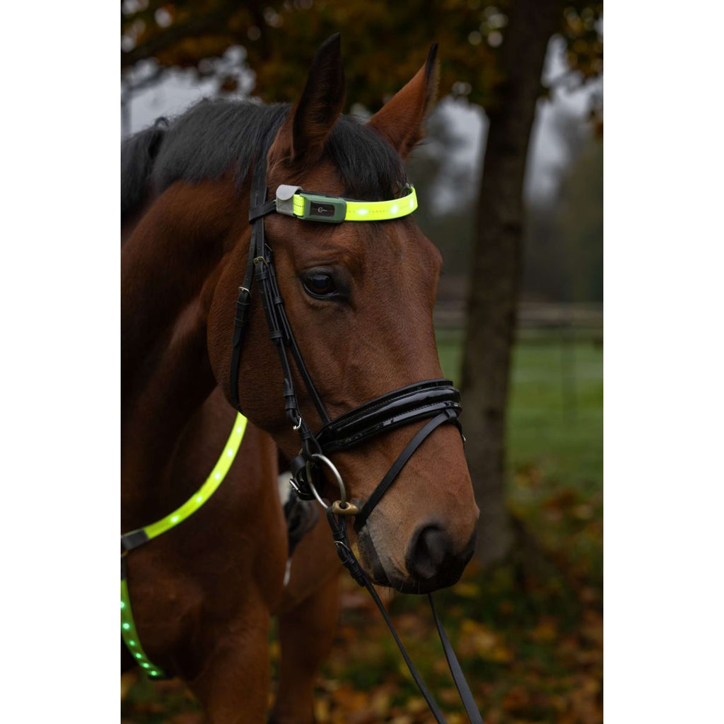 Covalliero Frontalino Led Reflejo