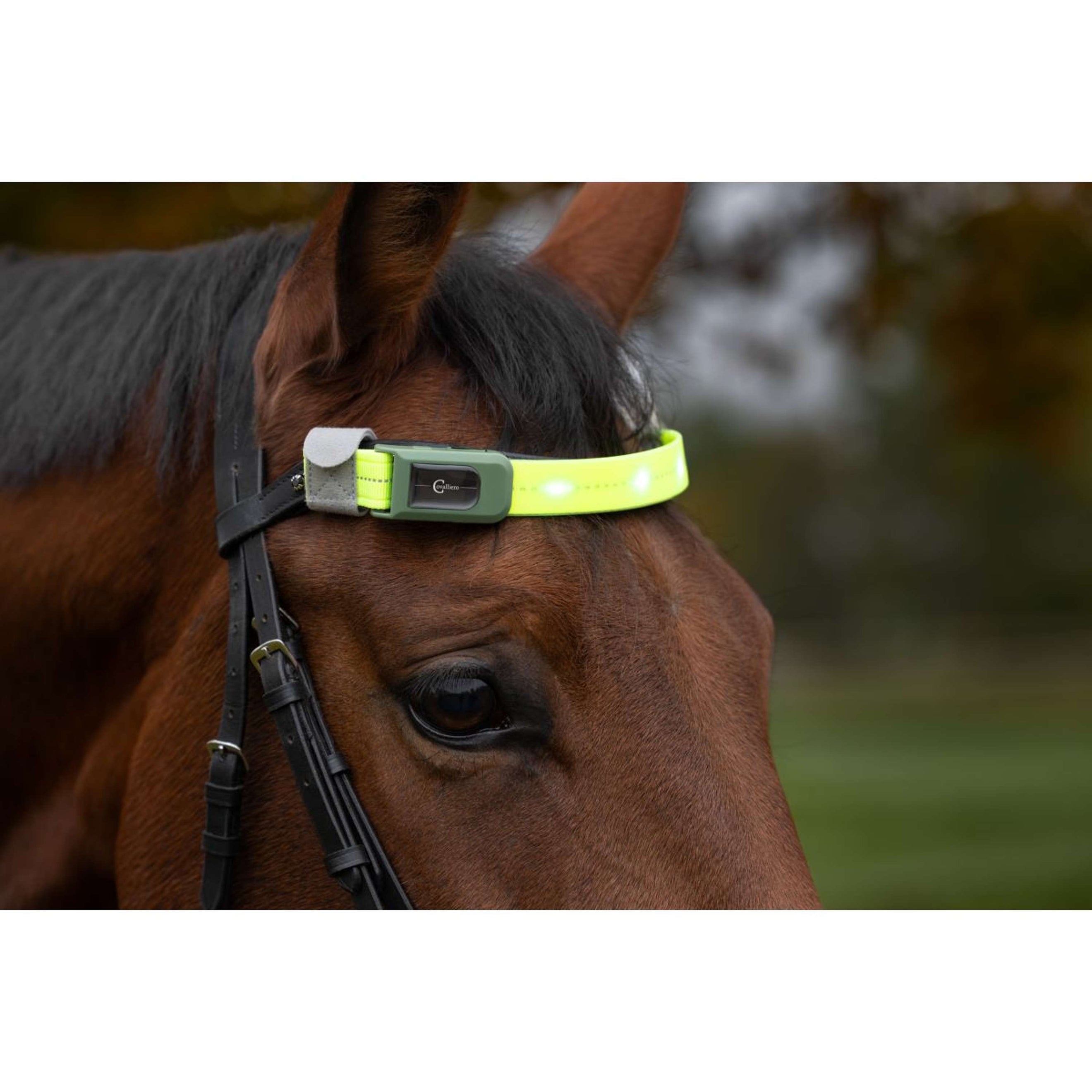 Covalliero Frontalino Led Reflejo