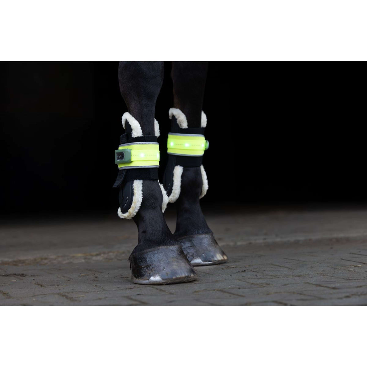 Covalliero Protezione delle gambe Led Reflejo