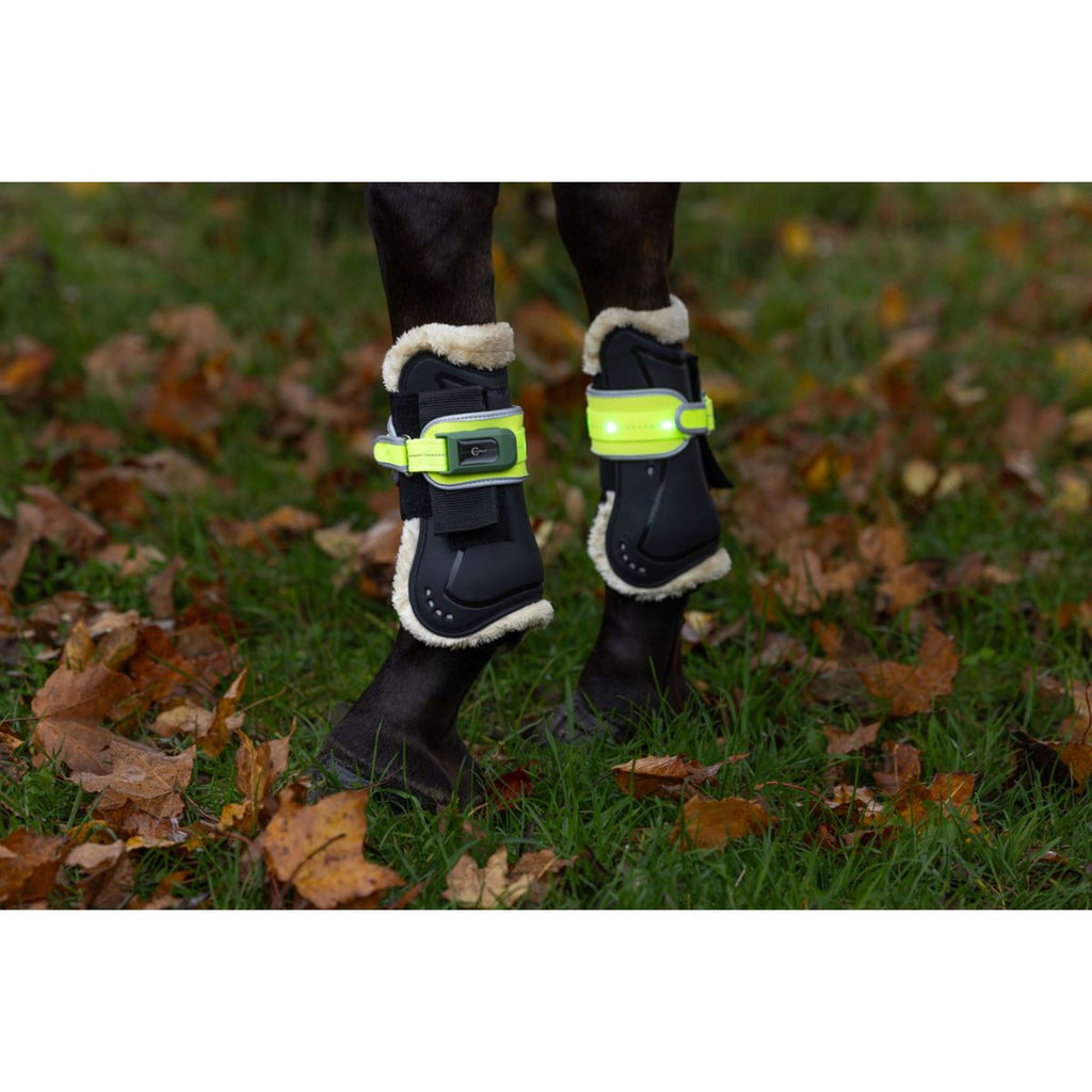 Covalliero Protezione delle gambe Led Reflejo